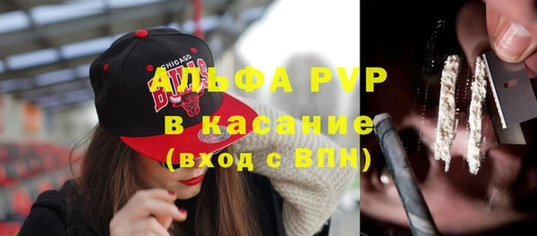 индика Армянск