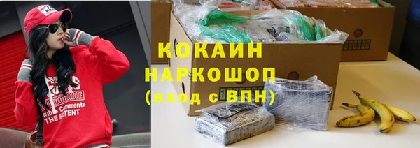 спайс Арсеньев