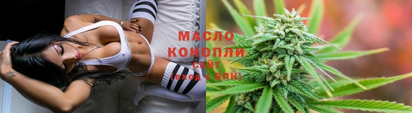 индика Армянск