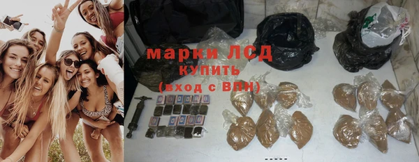 спайс Арсеньев