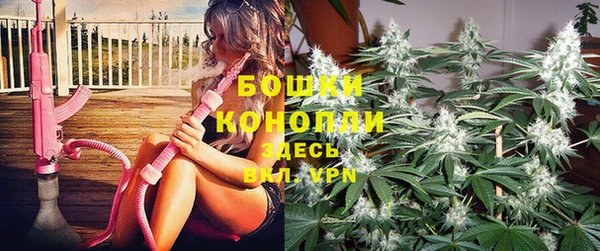 спайс Арсеньев