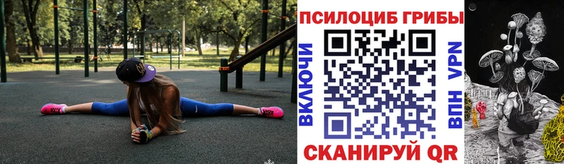 Псилоцибиновые грибы Psilocybine cubensis Октябрьск